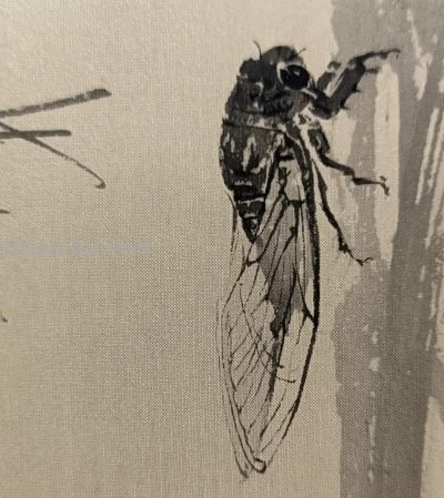 绝了！尹晓尧以墨为魂，把小昆虫画活了 - 图画吧TUHUABA