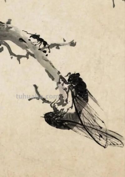 绝了！尹晓尧以墨为魂，把小昆虫画活了 - 图画吧TUHUABA