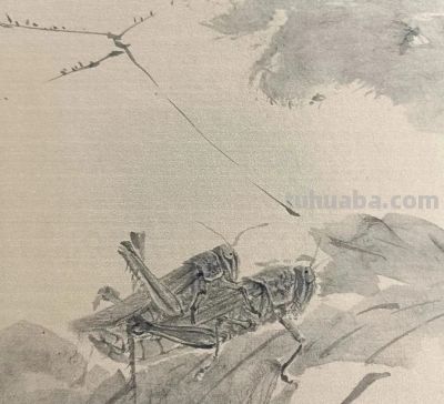 绝了！尹晓尧以墨为魂，把小昆虫画活了 - 图画吧TUHUABA