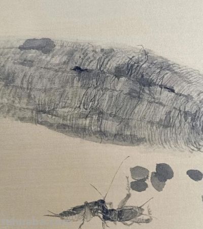 绝了！尹晓尧以墨为魂，把小昆虫画活了 - 图画吧TUHUABA