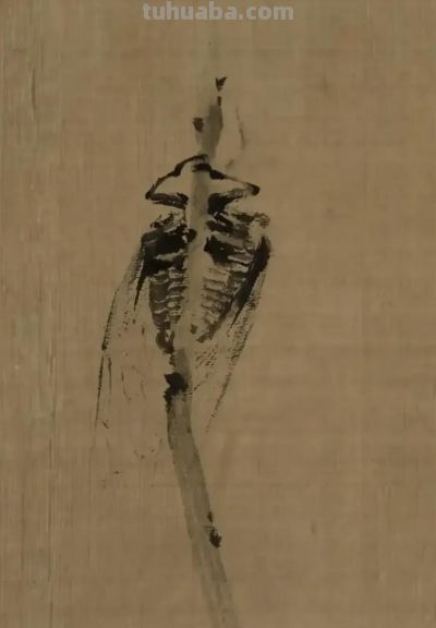绝了！尹晓尧以墨为魂，把小昆虫画活了 - 图画吧TUHUABA