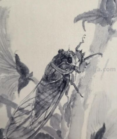 绝了！尹晓尧以墨为魂，把小昆虫画活了 - 图画吧TUHUABA