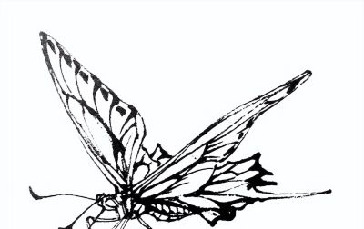 素材 | 常见草虫白描64图 - 图画吧TUHUABA