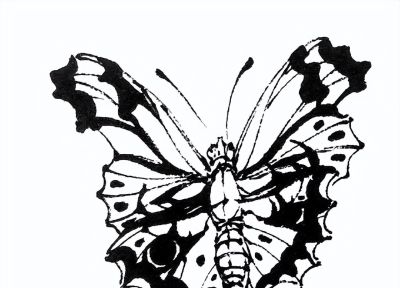 素材 | 常见草虫白描64图 - 图画吧TUHUABA