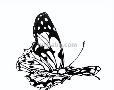 素材 | 常见草虫白描64图 - 图画吧TUHUABA