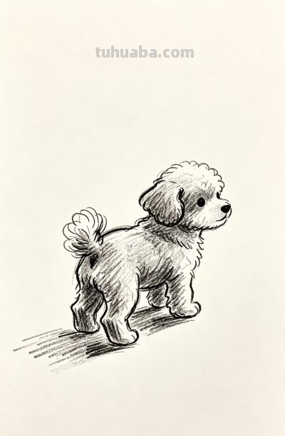 被小狗治愈的每一天 都闪闪发光丨郭小O简笔画狗狗绘画素材分享 - 图画吧TUHUABA