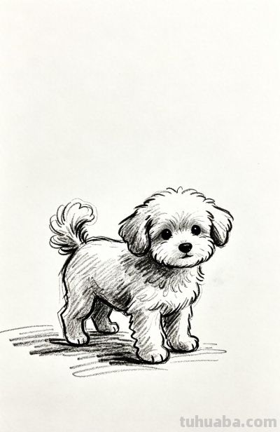 被小狗治愈的每一天 都闪闪发光丨郭小O简笔画狗狗绘画素材分享 - 今日头条