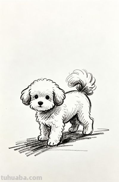 被小狗治愈的每一天 都闪闪发光丨郭小O简笔画狗狗绘画素材分享 - 图画吧TUHUABA