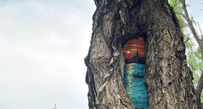 北京多个公园内出现“树洞画”,会伤树吗;园林专家释疑 - 今日头条 北京多个公园内出现“树洞画”,会伤树吗;园林专家释疑 - 图画吧TUHUABA