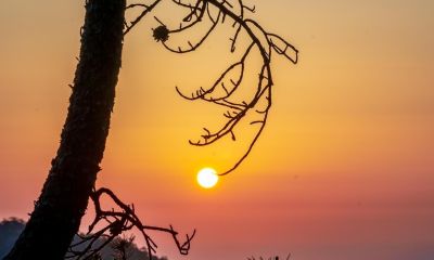 摄影减法思维实战指南:5个技巧让你的照片瞬间变高级 - 今日头条 摄影减法思维实战指南:5个技巧让你的照片瞬间变高级 - 图画吧TUHUABA