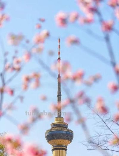 旅行拍照出片7个窍门，手机随手拍也能有电影感 - 图画吧TUHUABA