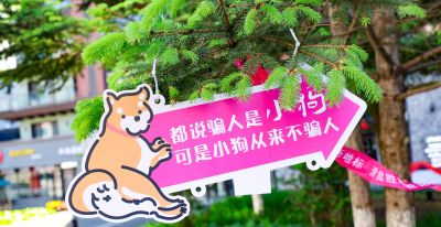 人宠Cosplay跑进吉林市！四百家庭青山共赴萌趣周末 - 图画吧TUHUABA