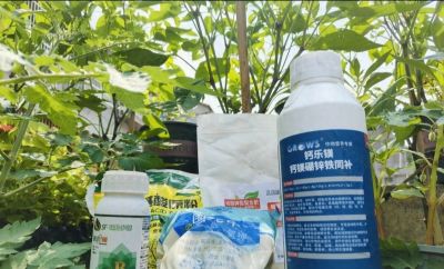 这2种肥料90%种菜人在用！但家庭种植真的不需要 - 今日头条