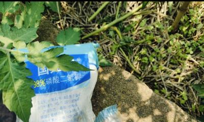 这2种肥料90%种菜人在用！但家庭种植真的不需要 - 图画吧TUHUABA