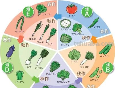 家庭种菜养土5个实用技巧，最后一招人人会，多数人没做到 - 图画吧TUHUABA