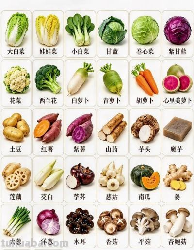 一张图搞定全年买菜！每个季节应季蔬菜清单，买菜前看3秒就够了 - 图画吧TUHUABA