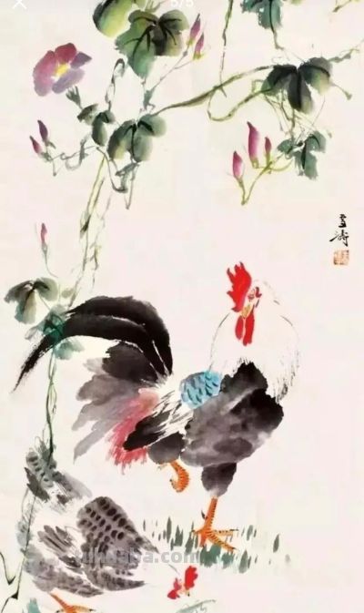 锦羽昂冠，雄风万里，十四幅王雪涛大鸡图欣赏！ - 图画吧TUHUABA