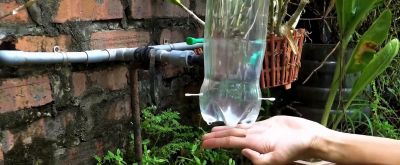 用编织袋在家种些番茄，自己种的吃得也放心#番茄种植#番... - 图画吧TUHUABA