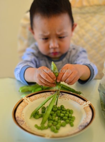 孩子不爱吃蔬菜？换个做法，抢着光盘 - 图画吧TUHUABA