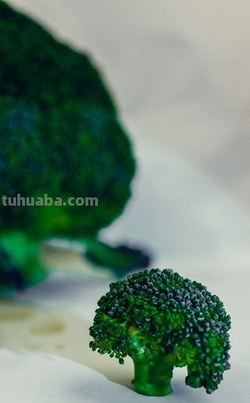 女儿画了一朵西兰花，我当着她的面撕了 - 今日头条