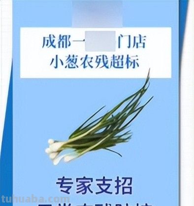 夏天多吃蔬菜,盘点农药少、营养好的12种蔬菜 - 今日头条 夏天多吃蔬菜,盘点农药少、营养好的12种蔬菜 - 图画吧TUHUABA