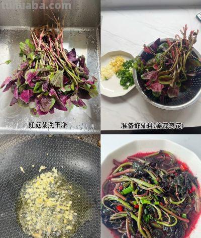 不同颜色蔬菜营养各异,搭配食用,补足人体所需多种微量元素。 - 今日头条 不同颜色蔬菜营养各异,搭配食用,补足人体所需多种微量元素。 - 图画吧TUHUABA