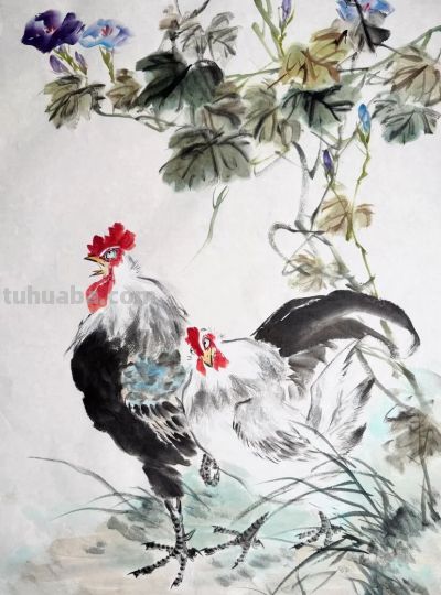 锦羽栖花，笔墨寄吉，一组大鸡图欣赏！ - 图画吧TUHUABA