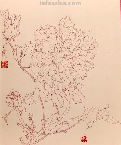 幸福原创画吧2026年第十三期画友作品分享 - 图画吧TUHUABA