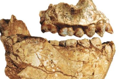 科学家发现,350万年前,地球上曾存在两种截然不同的人类物种 - 今日头条 科学家发现,350万年前,地球上曾存在两种截然不同的人类物种 - 图画吧TUHUABA