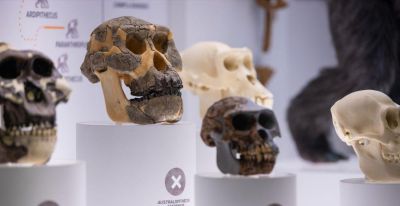 科学家发现,350万年前,地球上曾存在两种截然不同的人类物种 - 今日头条 科学家发现,350万年前,地球上曾存在两种截然不同的人类物种 - 图画吧TUHUABA