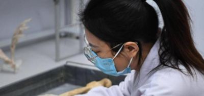 科学家发现,350万年前,地球上曾存在两种截然不同的人类物种 - 今日头条 科学家发现,350万年前,地球上曾存在两种截然不同的人类物种 - 图画吧TUHUABA