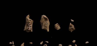 科学家发现,350万年前,地球上曾存在两种截然不同的人类物种 - 今日头条 科学家发现,350万年前,地球上曾存在两种截然不同的人类物种 - 图画吧TUHUABA