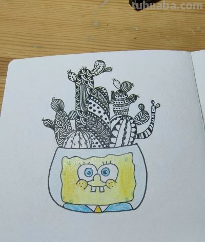 简笔手绘｜我的仙人球盆栽很有趣 - 图画吧TUHUABA