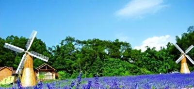 霜降过后，别再给这4种花浇水了，人越勤快，盆栽死得越快 - 图画吧TUHUABA